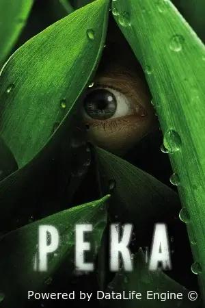 Река